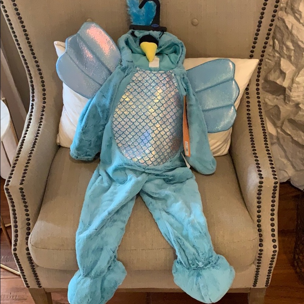 Hummingbird costume 18-24 months